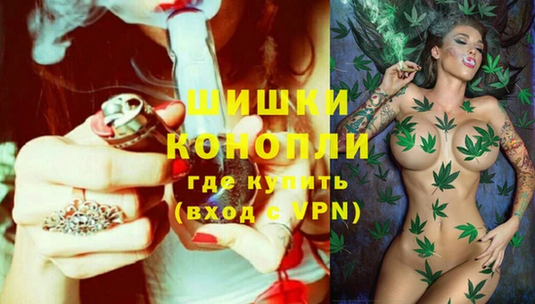 трава Арсеньев